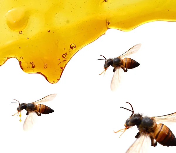 Honing Stromen Een Witte Achtergrond — Stockfoto
