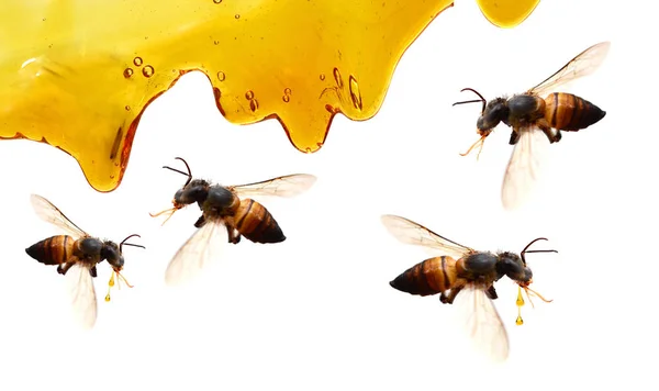 Zoete Honing Uitstrijkje Geïsoleerd Witte Achtergrond — Stockfoto