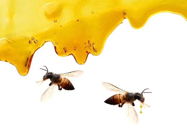 Vloeiende Honing Geïsoleerd Witte Achtergrond — Stockfoto