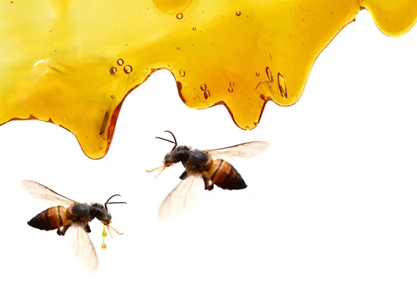 Pouring Honey White Background — Stock Photo, Image