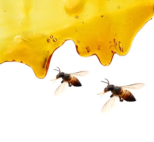 Zoete Honing Stroomt Witte Achtergrond — Stockfoto