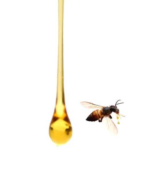 Süßer Honig Isoliert Auf Weißem Hintergrund — Stockfoto