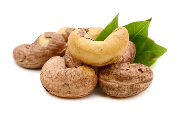 Cashewnuss Auf Weißem Hintergrund — Stockfoto