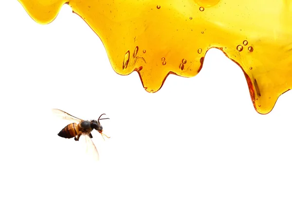 Flow Honey Isolated White — Stock Photo, Image