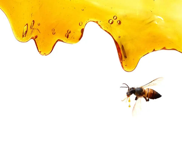蜂蜜を溶かした背景 ベクトル — ストック写真