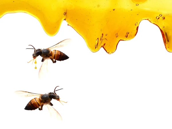 Honey Melted Background Vettore — Foto Stock