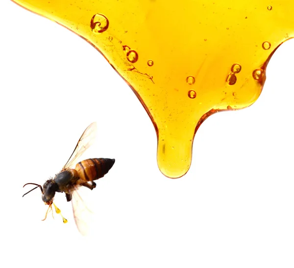 Honigtropfen Abstraktes Muster Isoliert Auf Weiß — Stockfoto