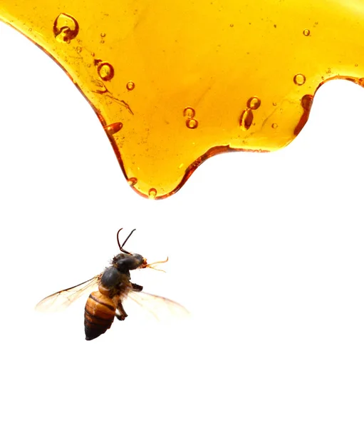 白い背景に分離された蜂蜜汚れ — ストック写真
