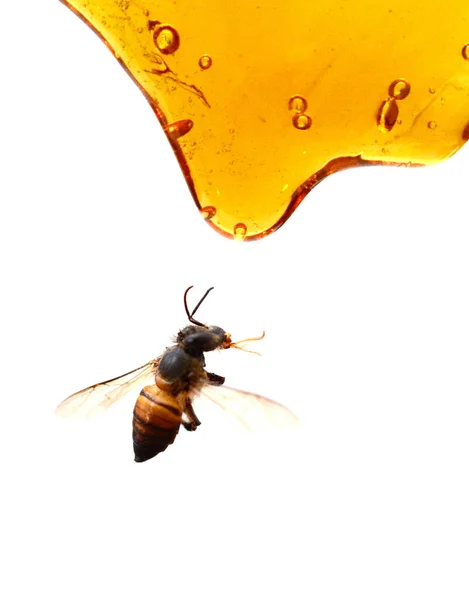 Closeup Honey Pattern Food Background — Stock Photo, Image