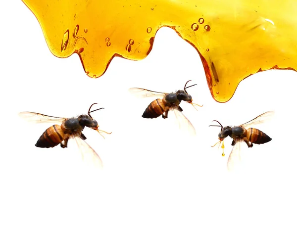 Nahaufnahme Von Honig Muster Lebensmittel Hintergrund — Stockfoto