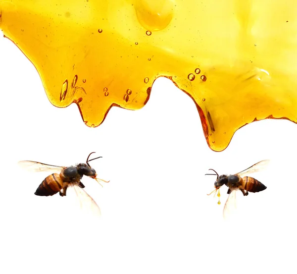 蜂蜜パターンのクローズアップ 食品の背景 — ストック写真