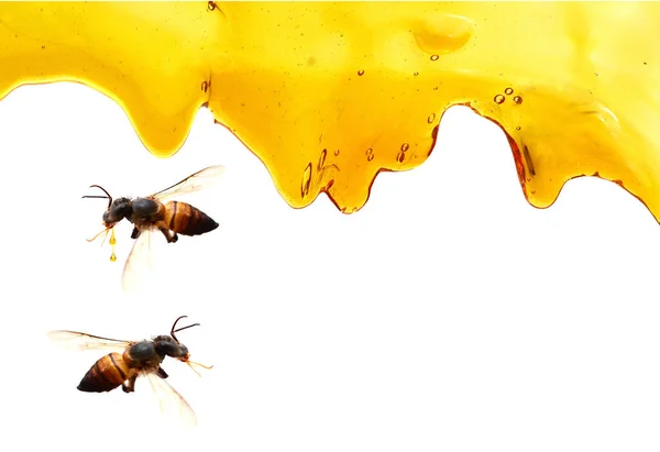 Flow Sweet Golden Honey — Stock Photo, Image