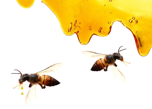 Glas Voll Frischem Honig Und Waben Hochwertiges Bild — Stockfoto
