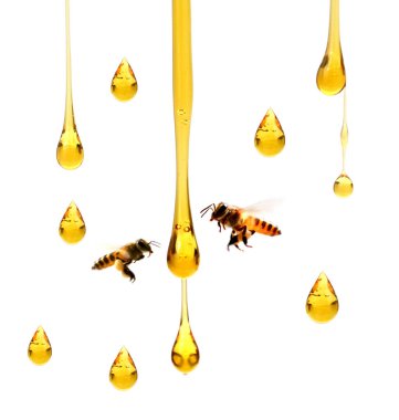 Beyaz bir arka plan bal akıyor