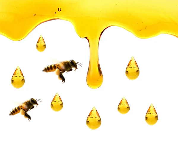 Honey Spot Isolated White Background — Stock Photo, Image