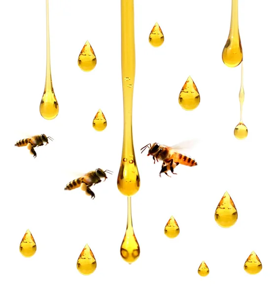 Honey Dripping White Background — Stock Photo, Image