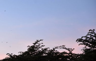 Nuit, Fort de Soire et parc au printemps.