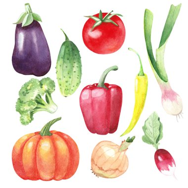 Bahçıvan için suluboya sebzeler.