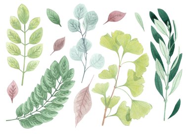  Dekoratif kompozisyonlar için yaprak ve dal seti kartlar ve dekoratif kompozisyon kartları ve davetiyeler için yaprak ve dal davetiyeleri