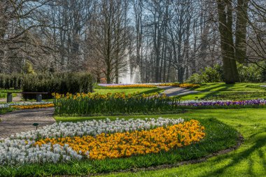 Sarı, beyaz ve mor renkli çiçeklerle dolu bir park.