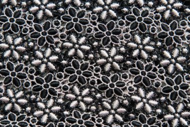 Beyaz arka planda siyah dantel.