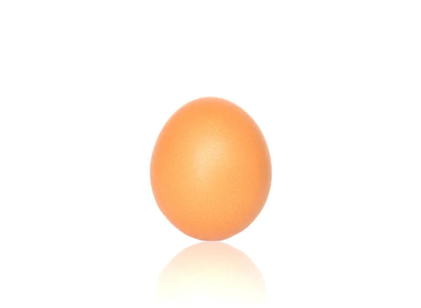 Single brown chicken egg isolated on white background. — Stock Photo, Image