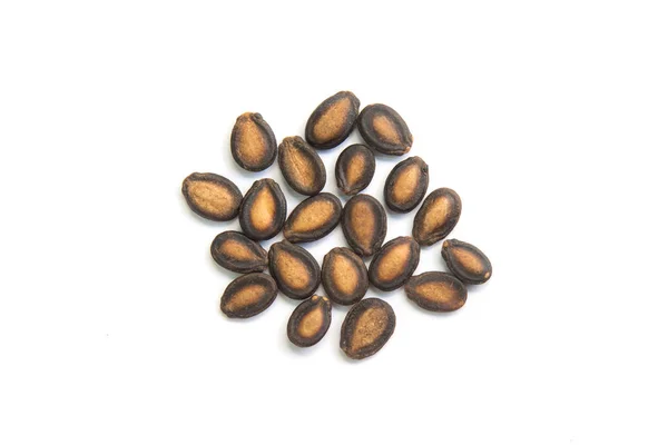 Dry black melon seeds on white background. — Stock Photo, Image
