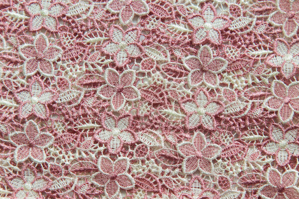 Pink lace on white background. No any trademark or restrict matter in this photo.
