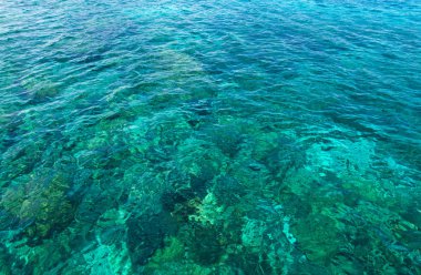 Okyanus su doku, açık mavi deniz.