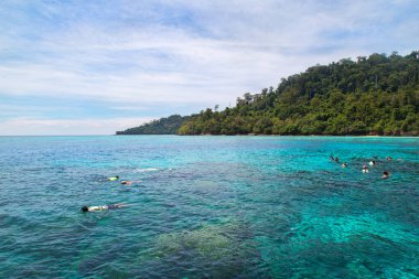 Andaman Denizi, Tayland Koh Rok şnorkel.