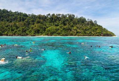 Andaman Denizi, Tayland Koh Rok şnorkel.