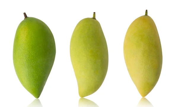 Uppsättning av mango frukt isolerad på vit bakgrund. — Stockfoto