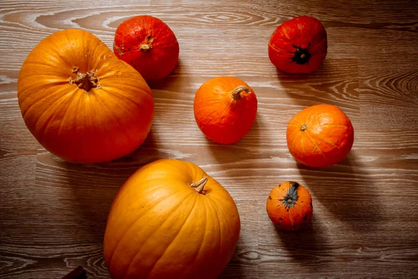Orange Pumpkins Achtergrond Voor Halloween Feest — Stockfoto