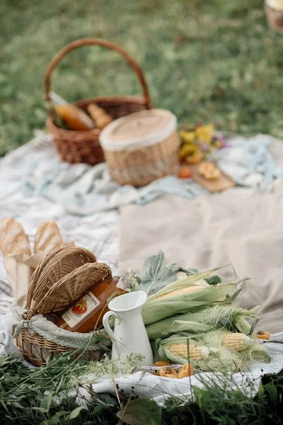 Summer picnic: basket with vegetables, fruits and a fresh baguette