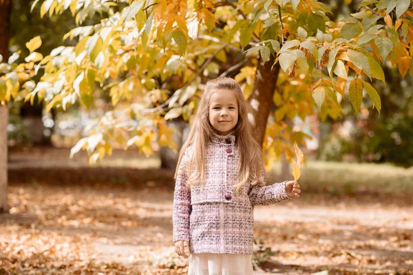 Αστείο Κορίτσι Ετών Βόλτες Στο Πάρκο Φθινόπωρο — Φωτογραφία Αρχείου