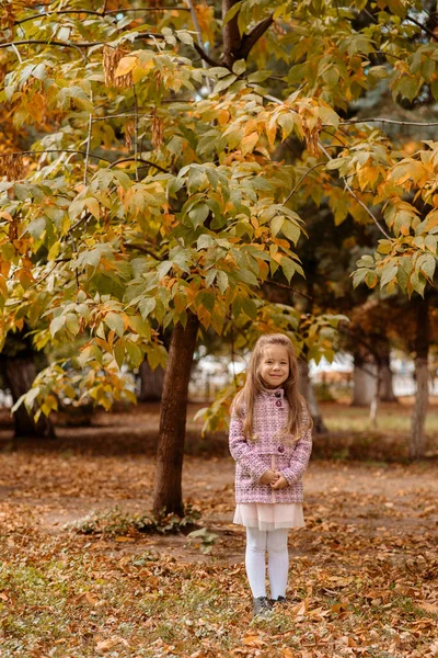 Rolig Flicka Gammal Promenader Parken Hösten — Stockfoto