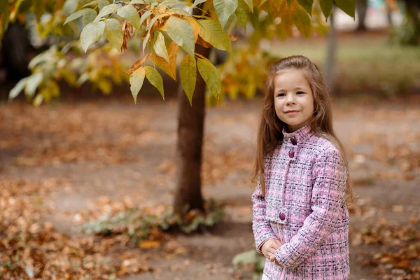 Αστείο Κορίτσι Ετών Βόλτες Στο Πάρκο Φθινόπωρο — Φωτογραφία Αρχείου