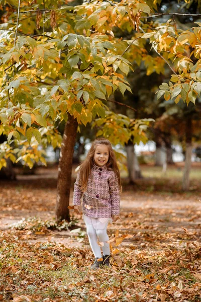 Rolig Flicka Gammal Promenader Parken Hösten — Stockfoto