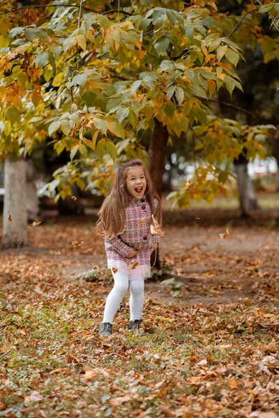 Rolig Flicka Gammal Promenader Parken Hösten — Stockfoto