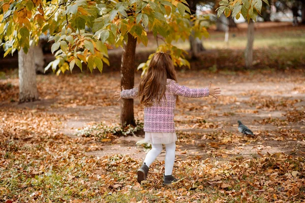 一个5岁的小女孩在公园里散步 — 图库照片