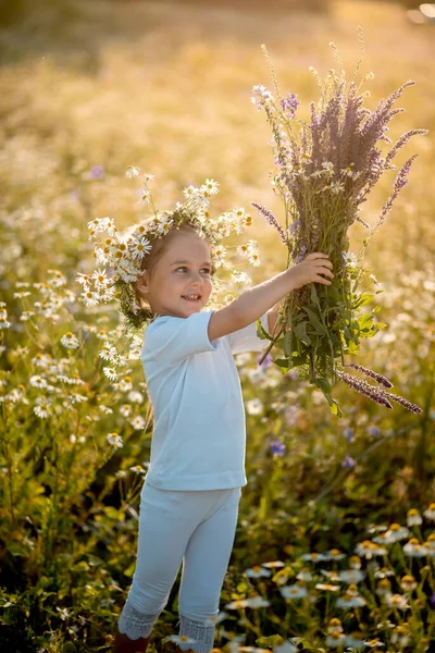 Okouzlující Letá Dívka Poli Sedmikrásky Šalvěj Létě Při Západu Slunce — Stock fotografie