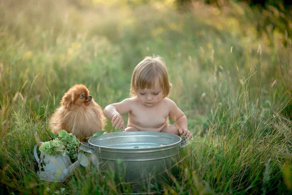 Pequeno Bebê Banha Uma Bacia Gramado Verão — Fotografia de Stock