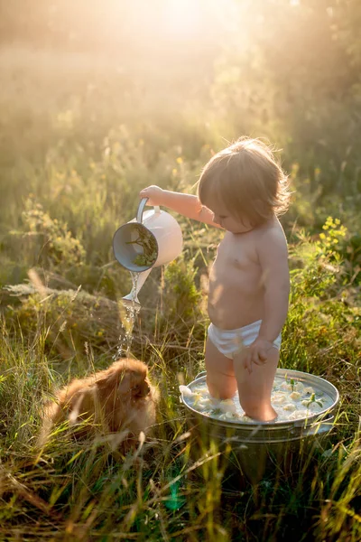 Little Baby Bathes Basin Summer Lawn — Stock Photo, Image