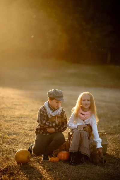 Mädchen Und Junge Alter Von Jahren Spazieren Mit Kaninchen — Stockfoto