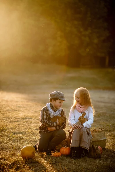 Girl Boy Years Old Walk Rabbits — Stock Photo, Image