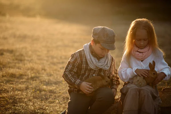 Meisje Jongen Jaar Oud Een Wandeling Met Konijnen — Stockfoto