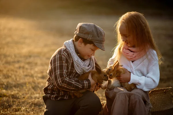 Mädchen Und Junge Alter Von Jahren Spazieren Mit Kaninchen — Stockfoto