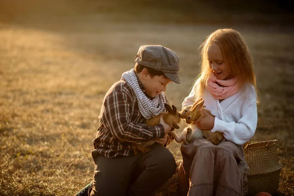 Mädchen Und Junge Alter Von Jahren Spazieren Mit Kaninchen — Stockfoto