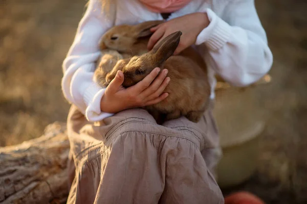 Забавная Девушка Винтажном Наряде Ферме Кроликами — стоковое фото