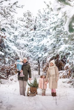 Mutlu bir aile kış ormanında yürüyüşe çıktı.